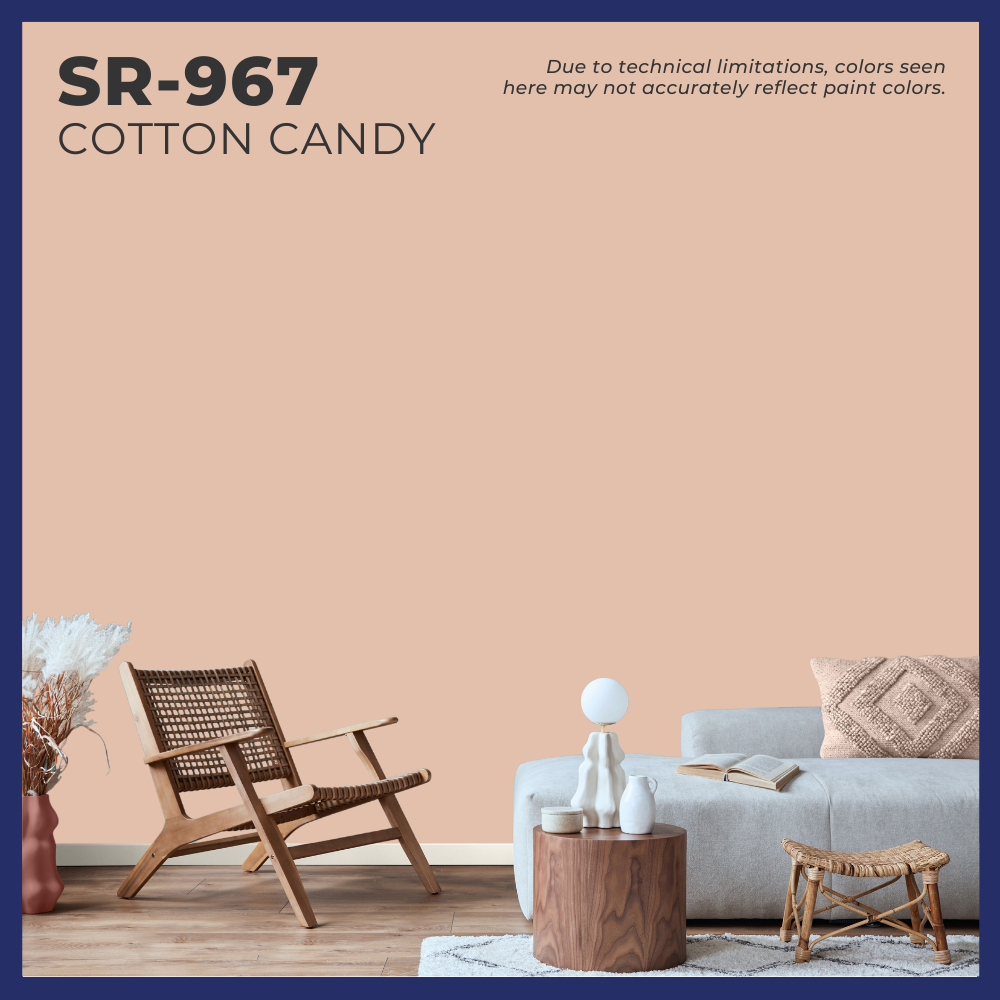 Sun & Rain® 100% Acrylic Elastomeric Paint (Grays & Browns)